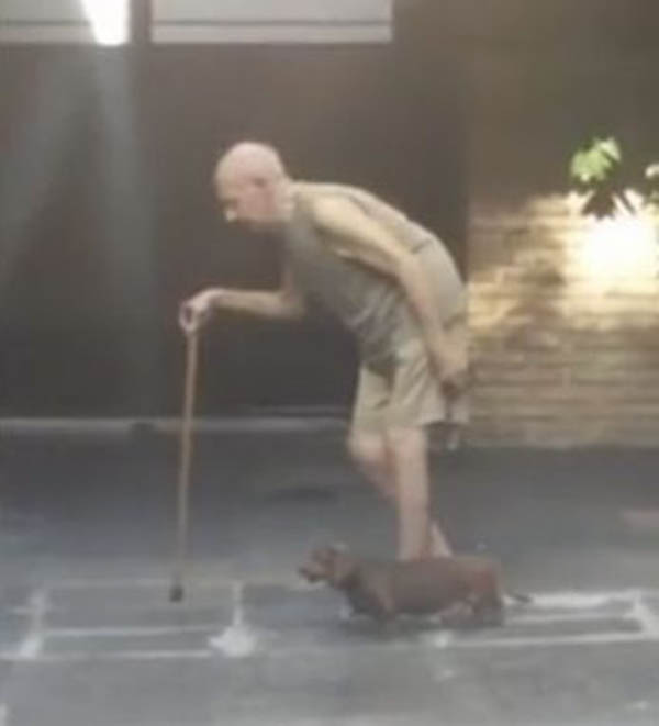 Cão caminha devagar para acompanhar tutor idoso