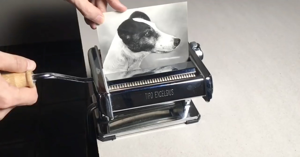 Corte e colagem a partir de uma fotografia de um cão torna-se viral... que bruxaria é esta?