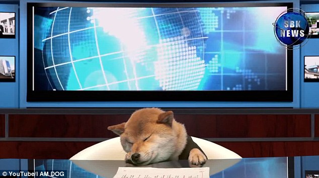 Depois deste vídeo não queremos mais notícias apresentadas por humanos