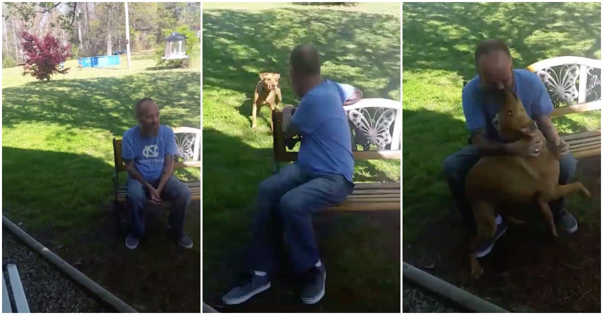 Depois de perder 22 Kg, o seu cão precisou de o cheirar para o reconhecer