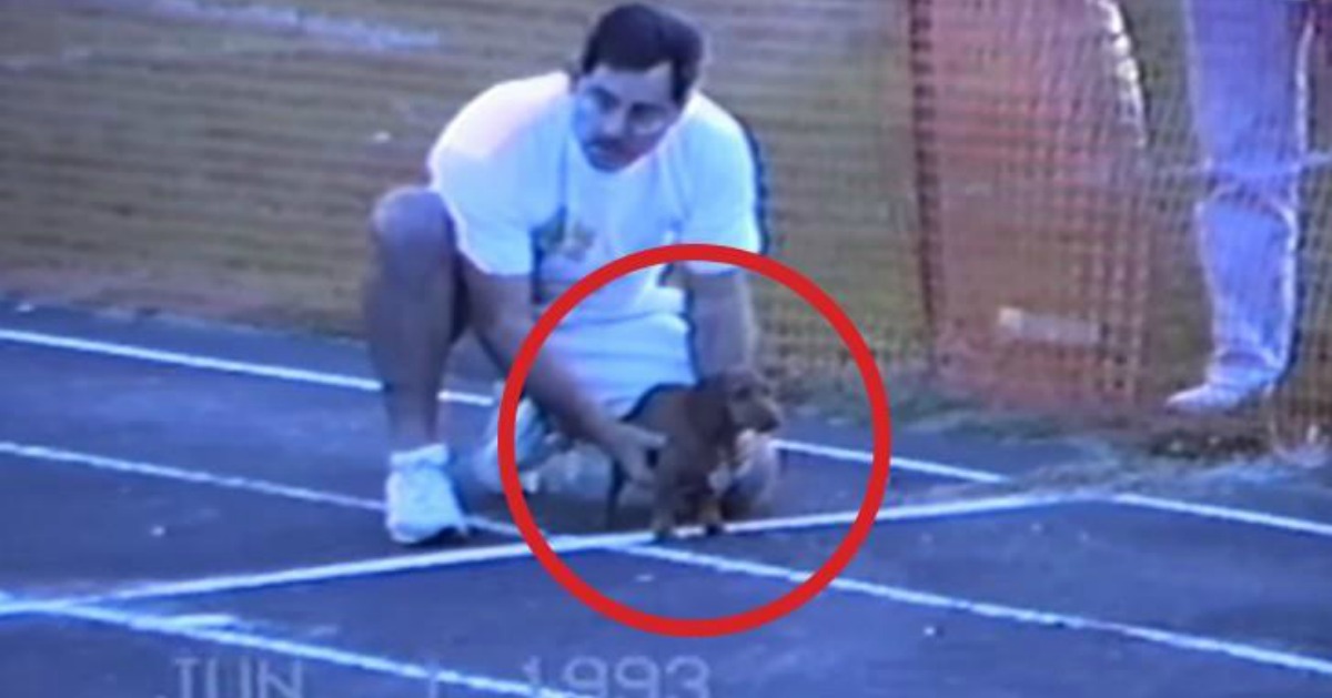 Vê como este Salsicha venceu a corrida: Um pouco desleal, mas muito engraçado!