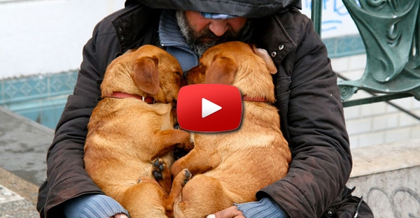 Eis a prova que os cães te amam independentemente do dinheiro que possas ter