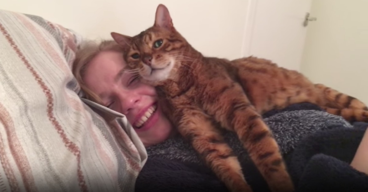 Dono apresenta namorada ao seu gato e a reação do felino não podia ser mais doce