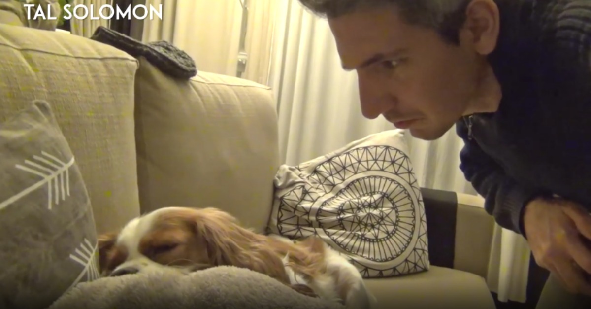 Dono vinga-se do seu cão por este ressonar como um javali enquanto dorme