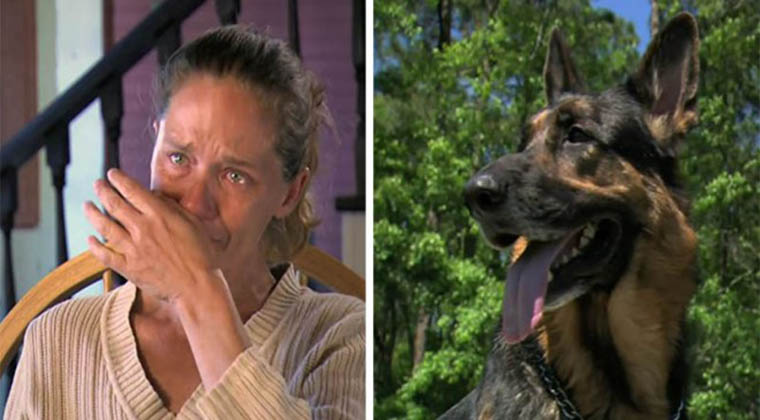 Ela caiu pela encosta num acidente de carro. Ficou esquecida até morrer mas um cão vadio salvou-a