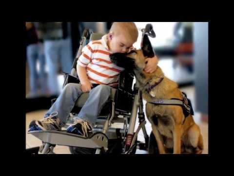 Este vídeo vai restaurar a tua fé na humanidade