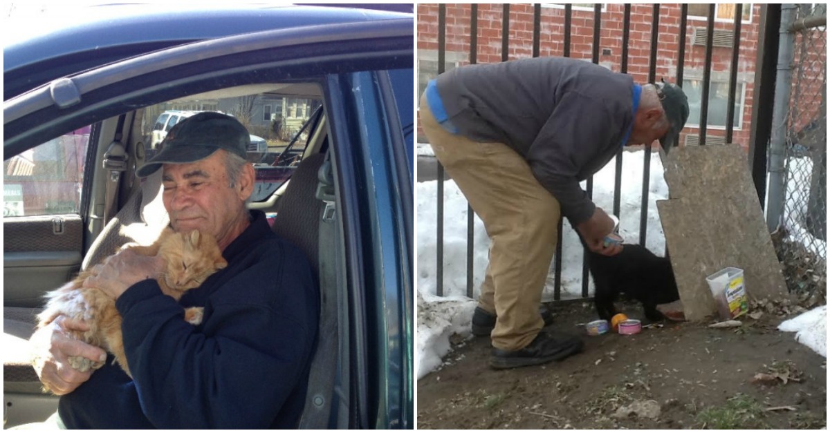 Homem passou mais de 20 anos da sua vida a cuidar de gatos abandonados