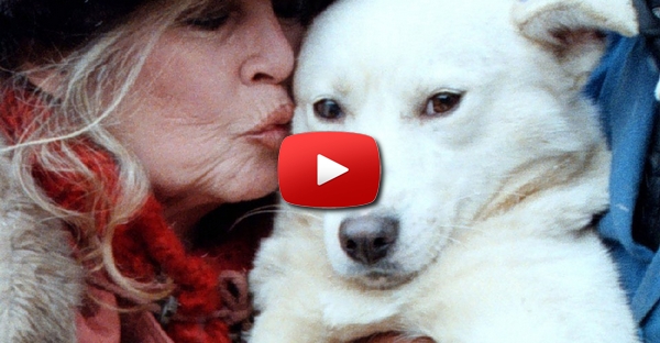 Os animais são, sem dúvida, muito amorosos!