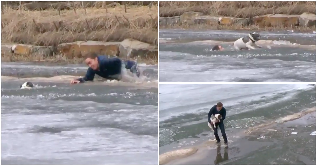 Homem arrisca a vida para salvar o seu cão que caiu num lago congelado