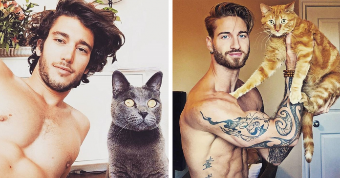 Homens gatos mostram os seus felinos