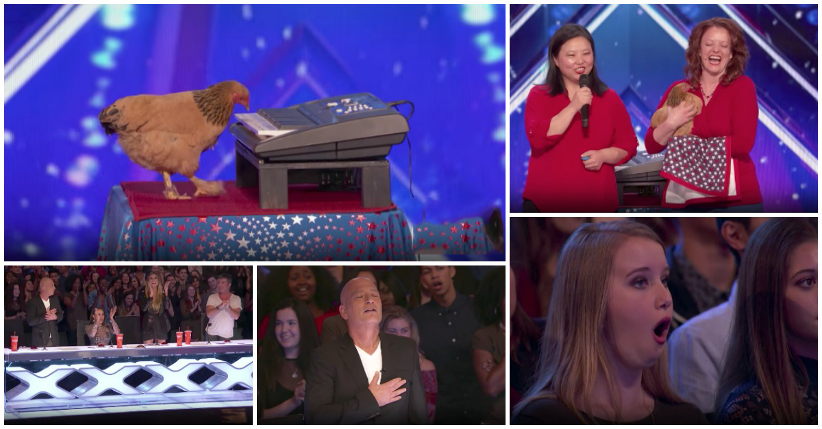 Galinha surpreende no American's Got Talent ao tocar no piano o hino norte-americano