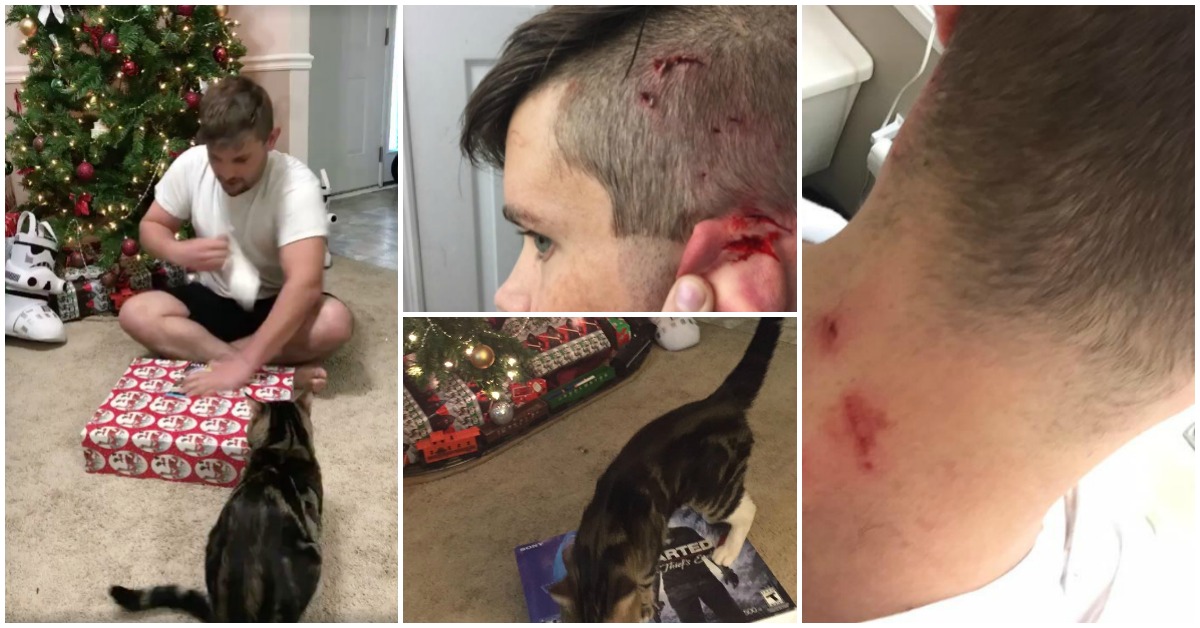 Gato ataca o dono histérico que recebeu uma Playstation no Natal