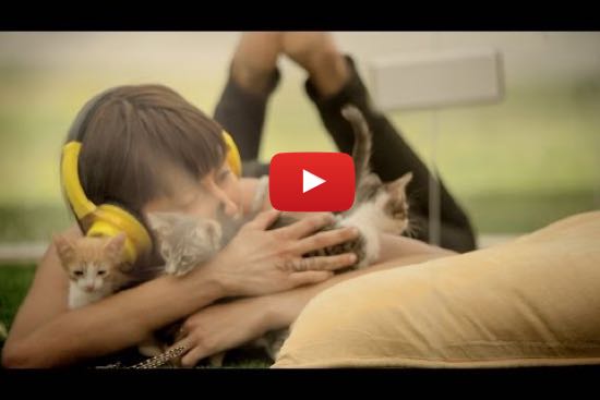 A terapia anti-stress mais FOFINHA que alguma vez viste