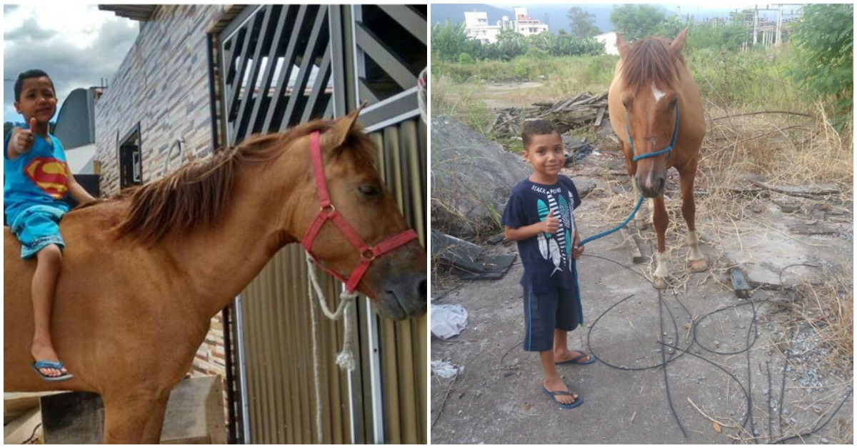 Ladrão mostra estar arrependido e devolve cavalo a menino doente