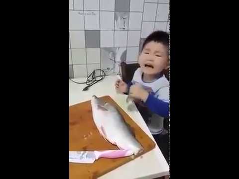 Lágrimas de um inocente