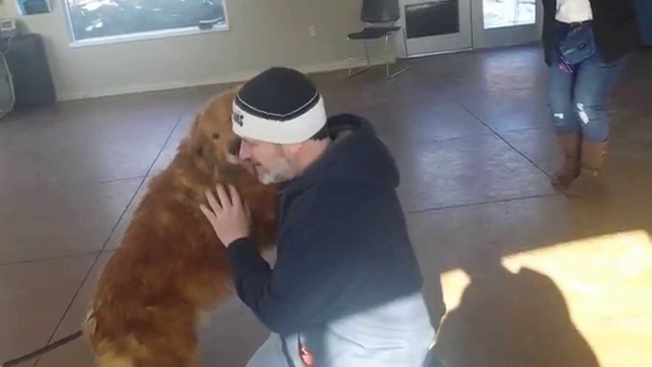 O momento em que este cãozinho reencontrou os seus donos depois de estar perdido quase 2 anos