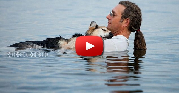 Schoep, o cão doente que é levado para o rio todos os dias para conseguir dormir