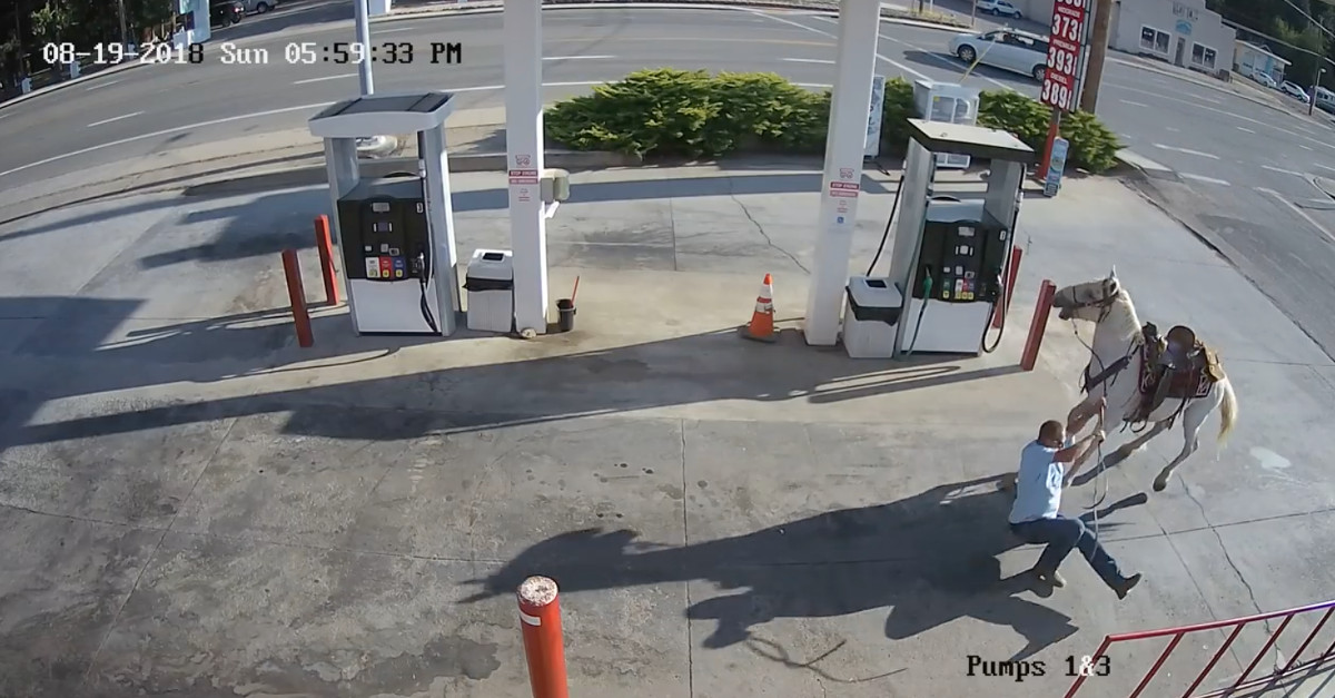 Bêbado tenta atestar cavalo em bomba de gasolina
