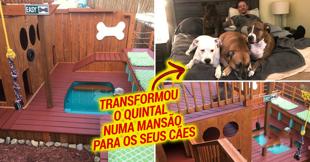 Passou 2 anos a transformar o seu quintal numa mansão para os seus cães