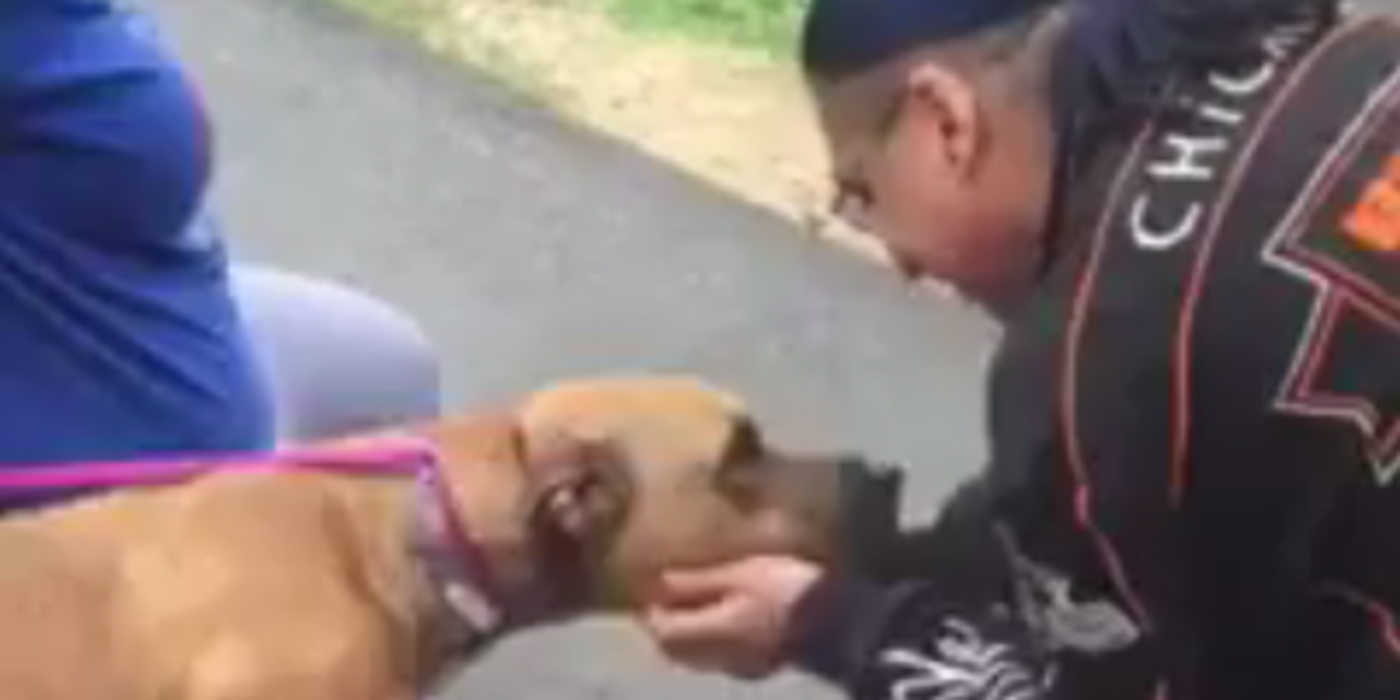 O encontro de um homem com o seu cão perdido há muito tempo é a coisa mais linda que verás hoje
