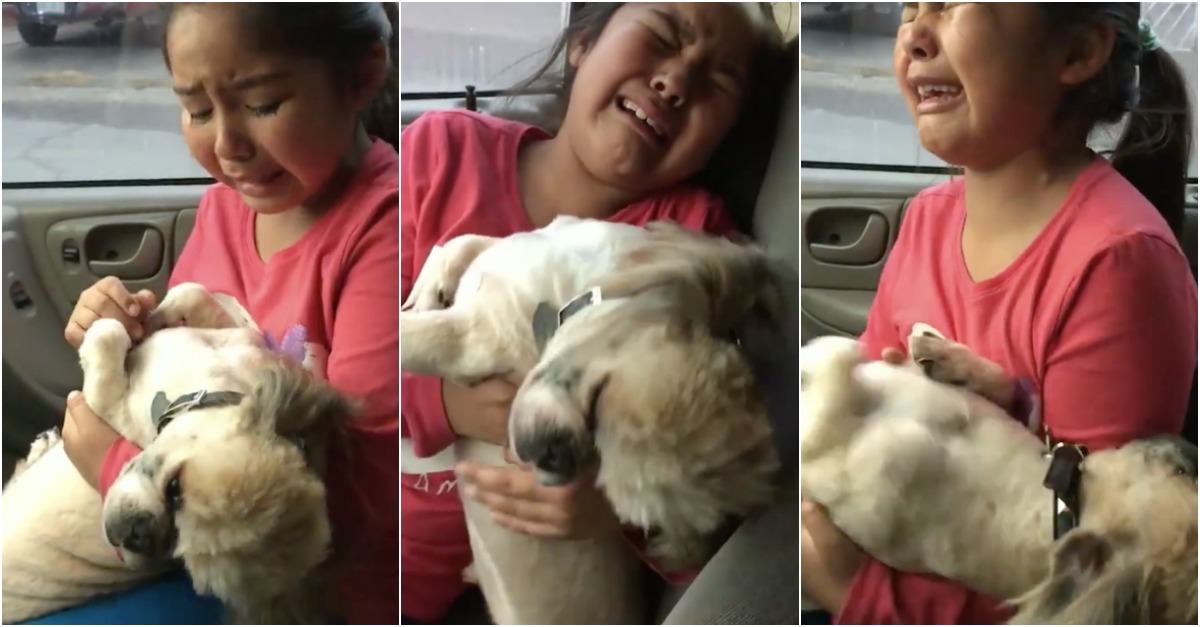 Menina fica desolada depois de ver o novo penteado do cão