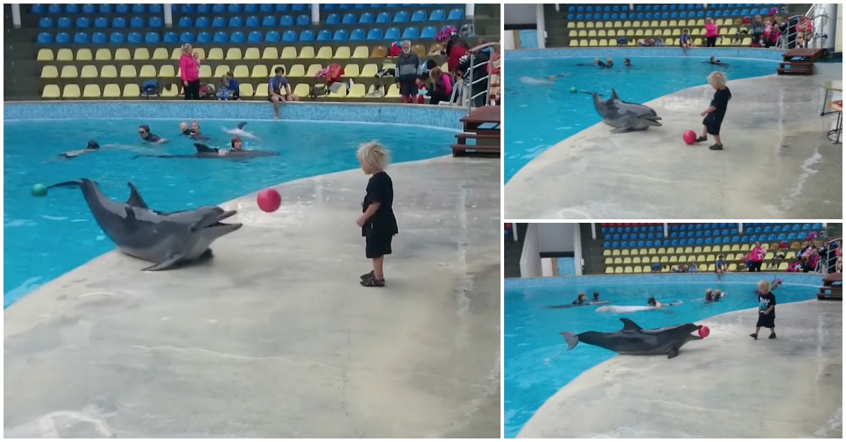 Menino a brincar à bola com um golfinho é a coisa mais fofa que vais ver hoje