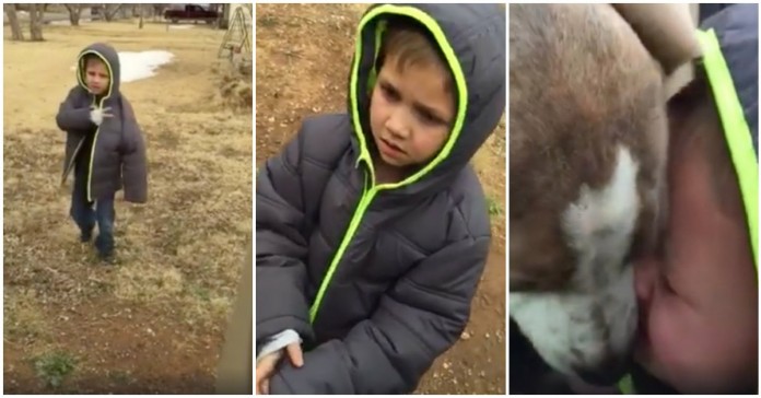 Menino tem reação emocionante ao reencontrar o seu cão desaparecido há um mês