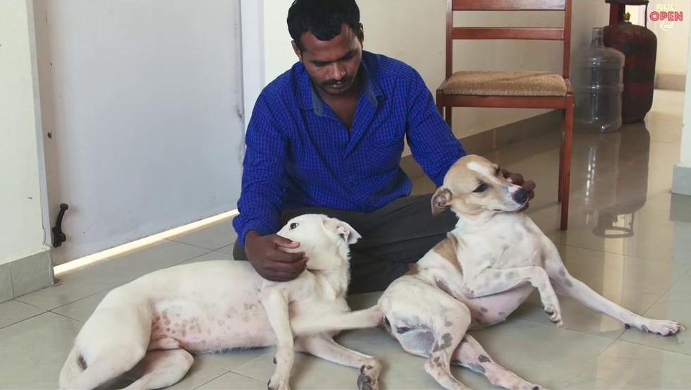 Homem poupa dinheiro durante 10 anos para comprar ambulância e ajudar animais abandonados