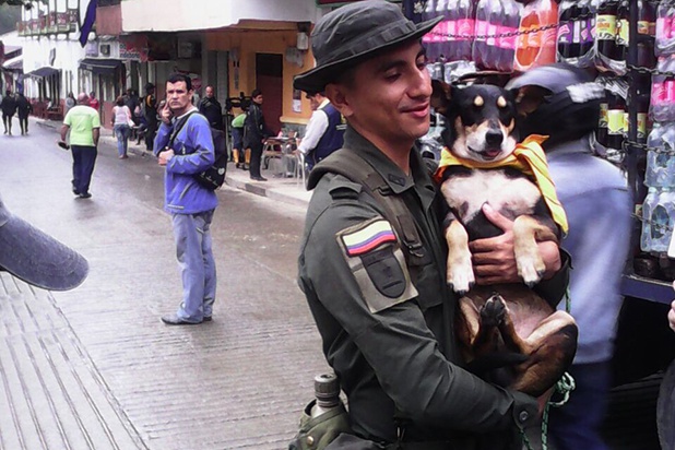 Polícias arriscam a sua vida para salvar um cão num rio de lama