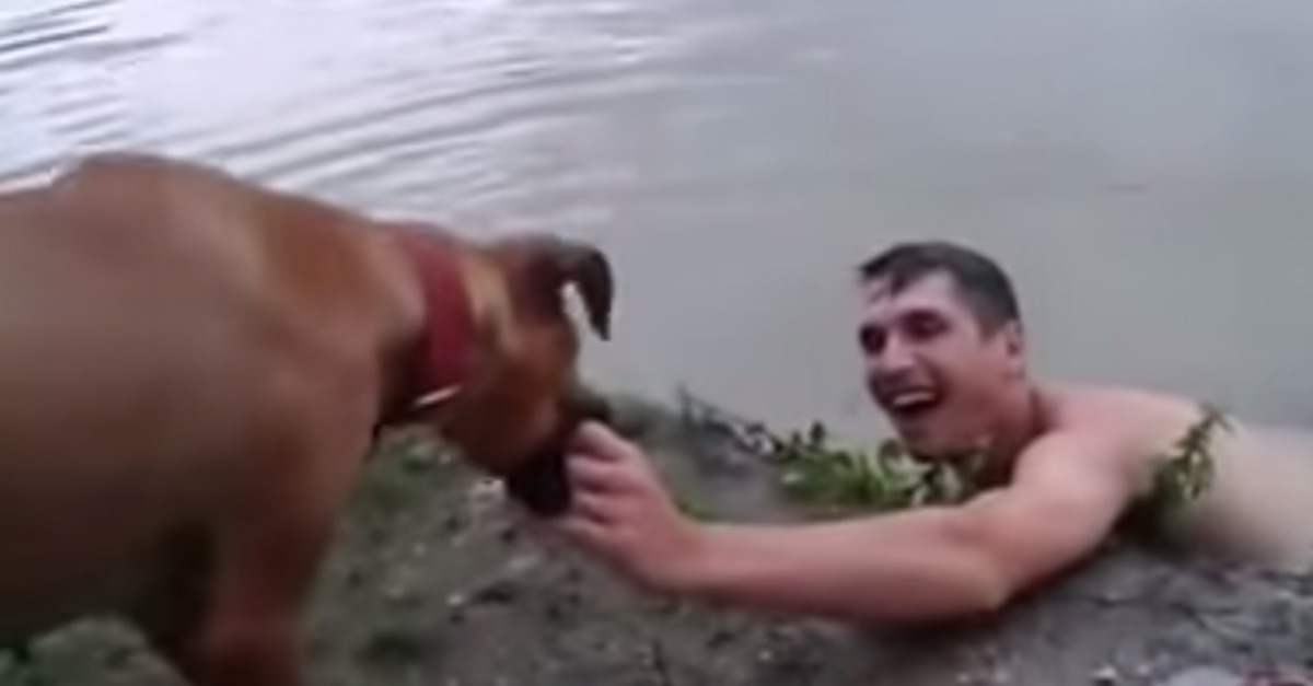 Simulou que se estaria a afogar para ver a reação do seu cão