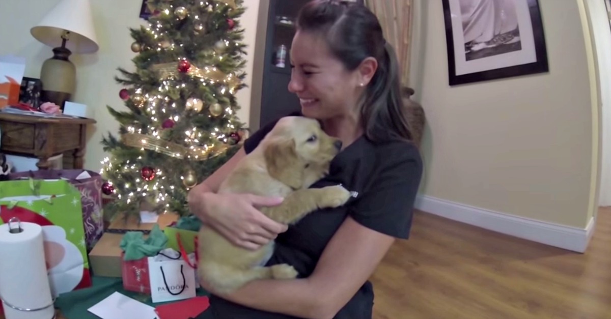 Este homem surpreendeu a sua mulher com um Golden Retriever bebé