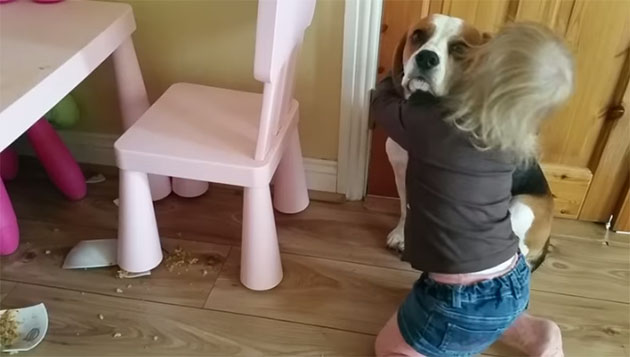 Menina abraça beagle consolando-o depois deste ter partido a tigela de cereais