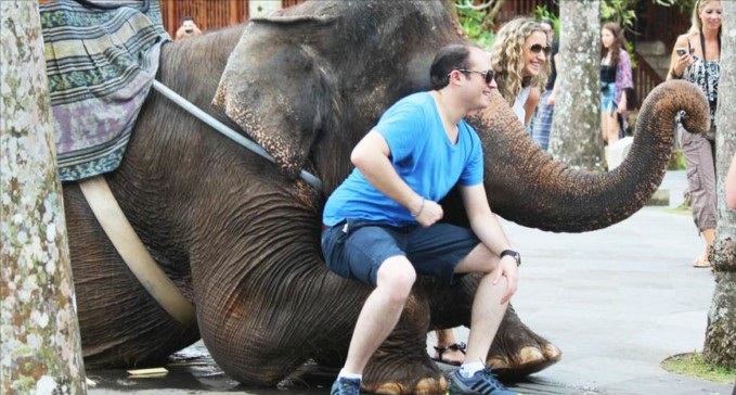 Relatório comprova que turismo com animais em Bali precisa acabar
