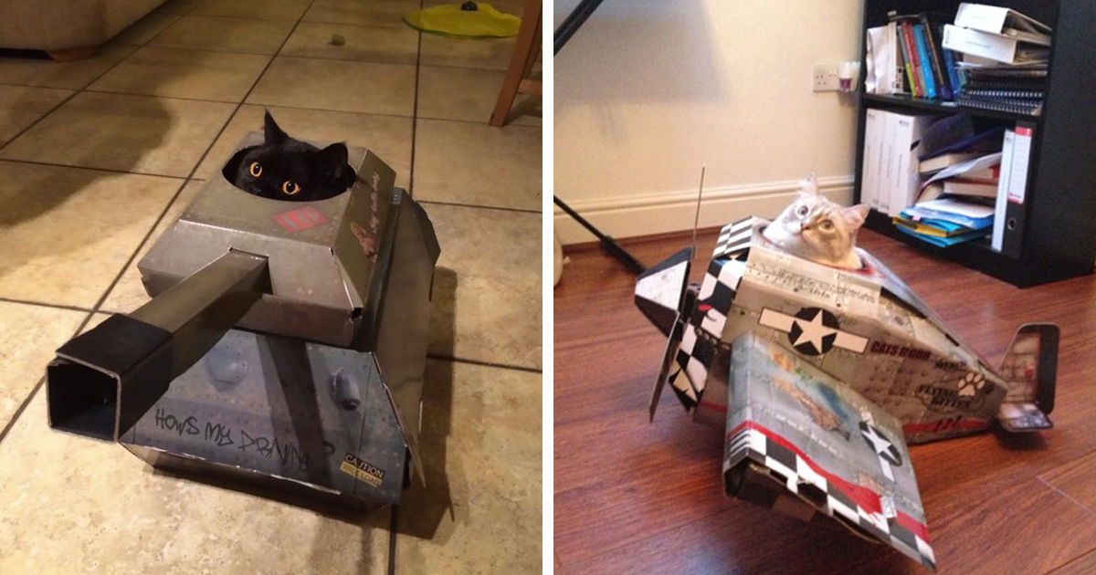 Esta empresa faz tanques, aviões e casas para gatos. O teu peludo precisa de um agora!