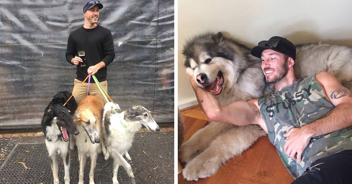 Australiano está em missão para salvar todos os cães do mundo