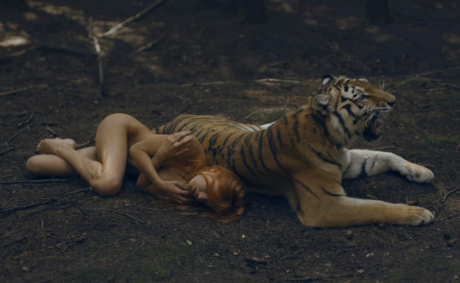 TOP 5 melhores encontros com animais selvagens de 2014