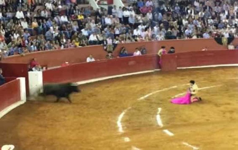 Touro reage e arrasta toureiro pela arena
