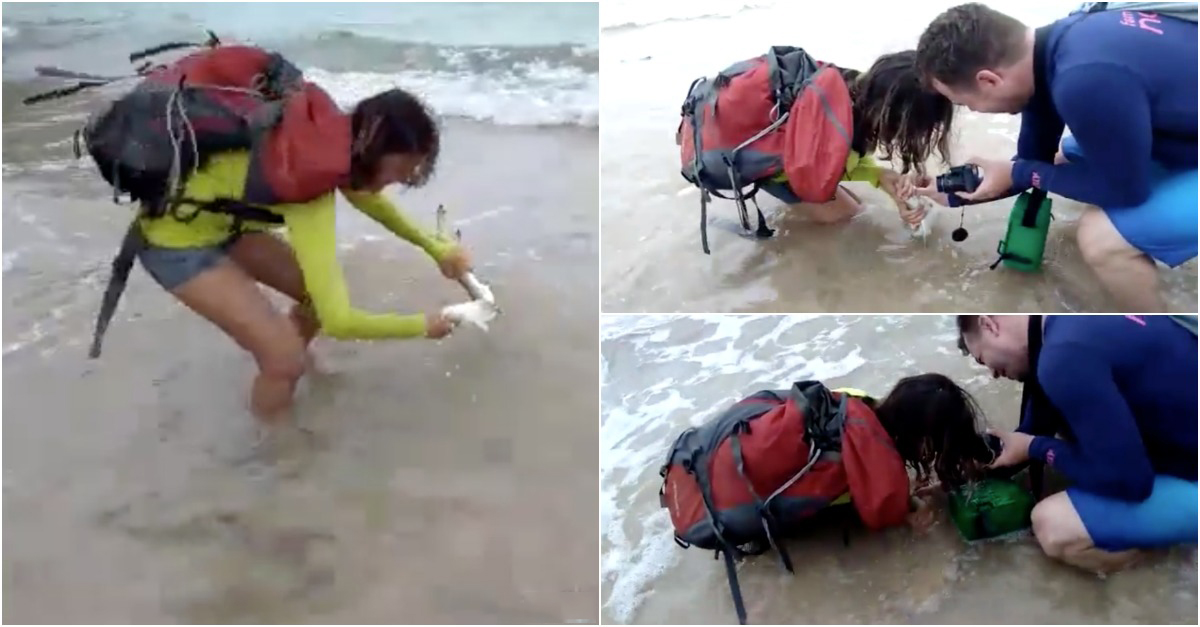 Turista pega em filhote de tubarão para tirar foto e acaba mordida
