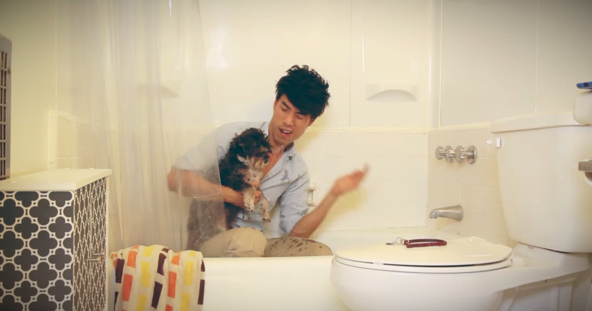 Coisas estranhas que os donos de cães fazem. Também és assim?