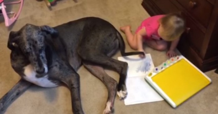 Menina usa o seu cão para (literalmente) fazer arte
