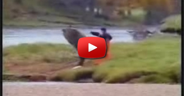bear vs man