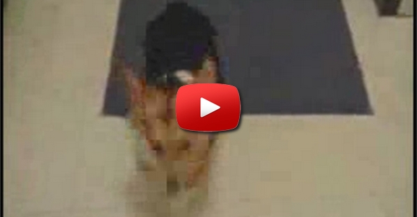 Cão que apenas reage a uma voz