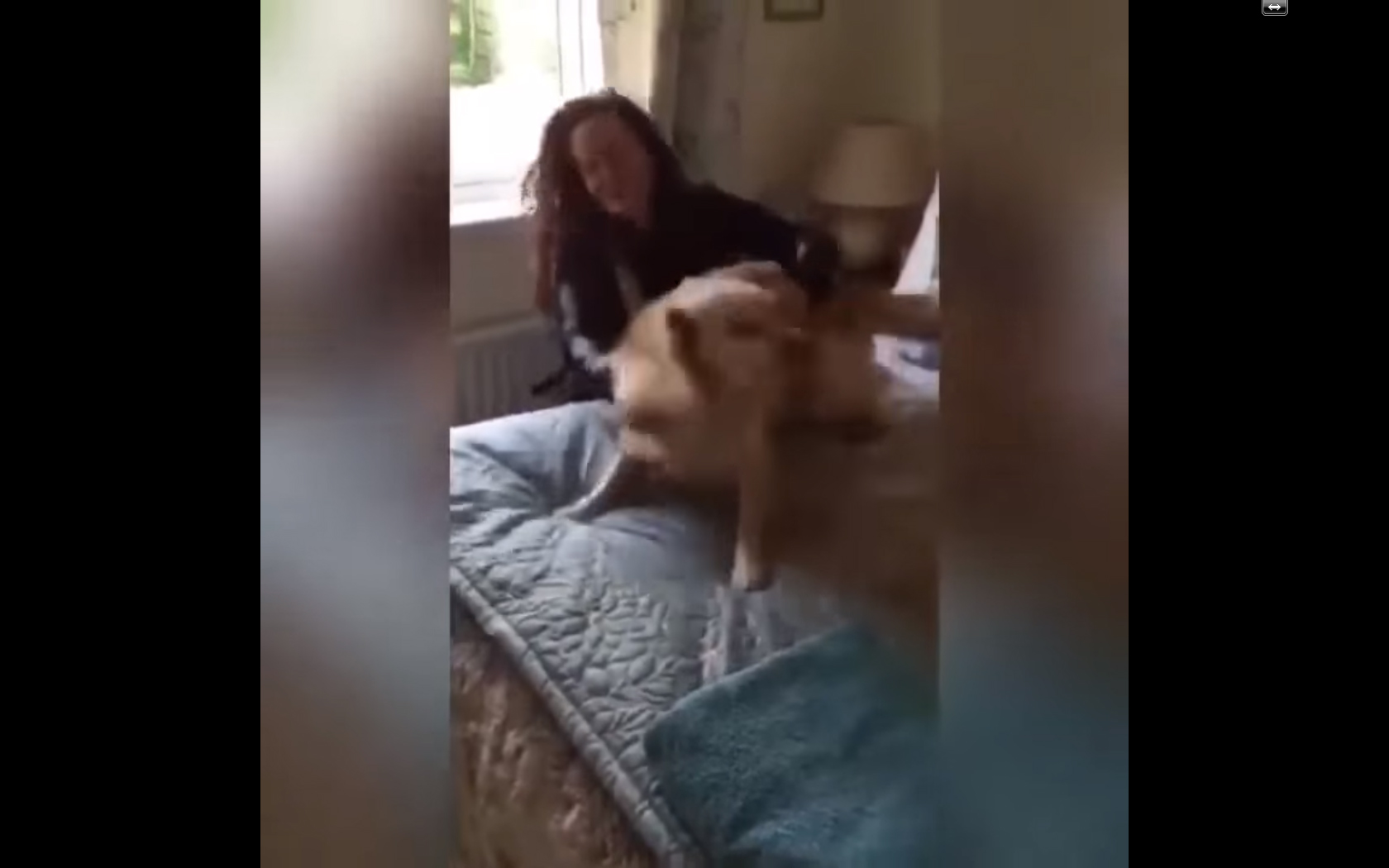 Repara bem na alegria deste cão ao reencontrar a dona que esteve ausente mais de meio ano