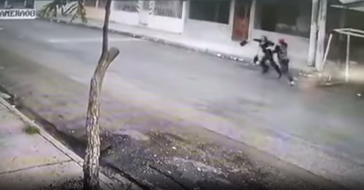 Cães heróis salvam mulher de assalto ao assustarem o ladrão