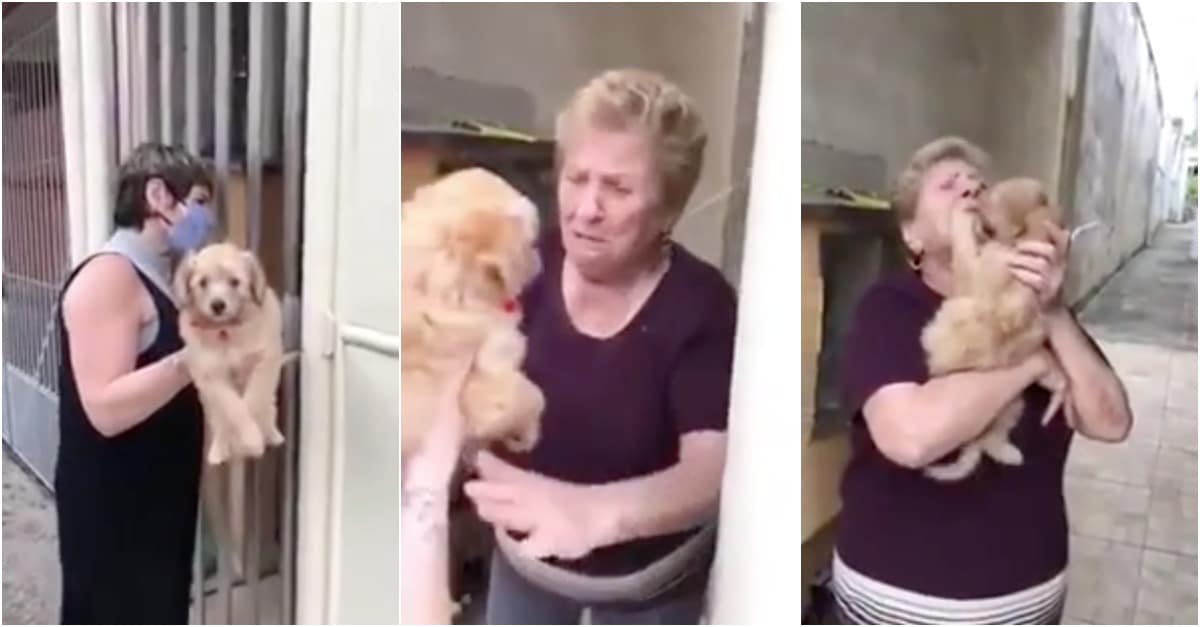 Filha encontra remédio para curar a mãe em quarentena... foi remédio santo!