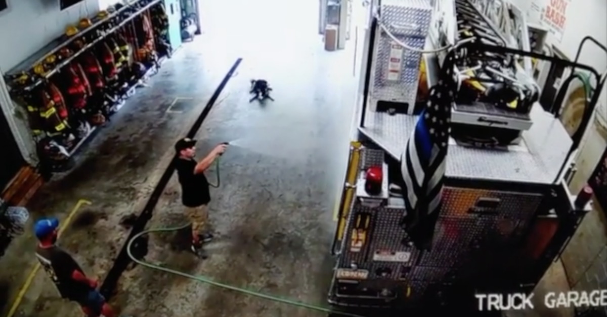 Cão surge pronto para a brincadeira mal ouve uma mangueira a ligar
