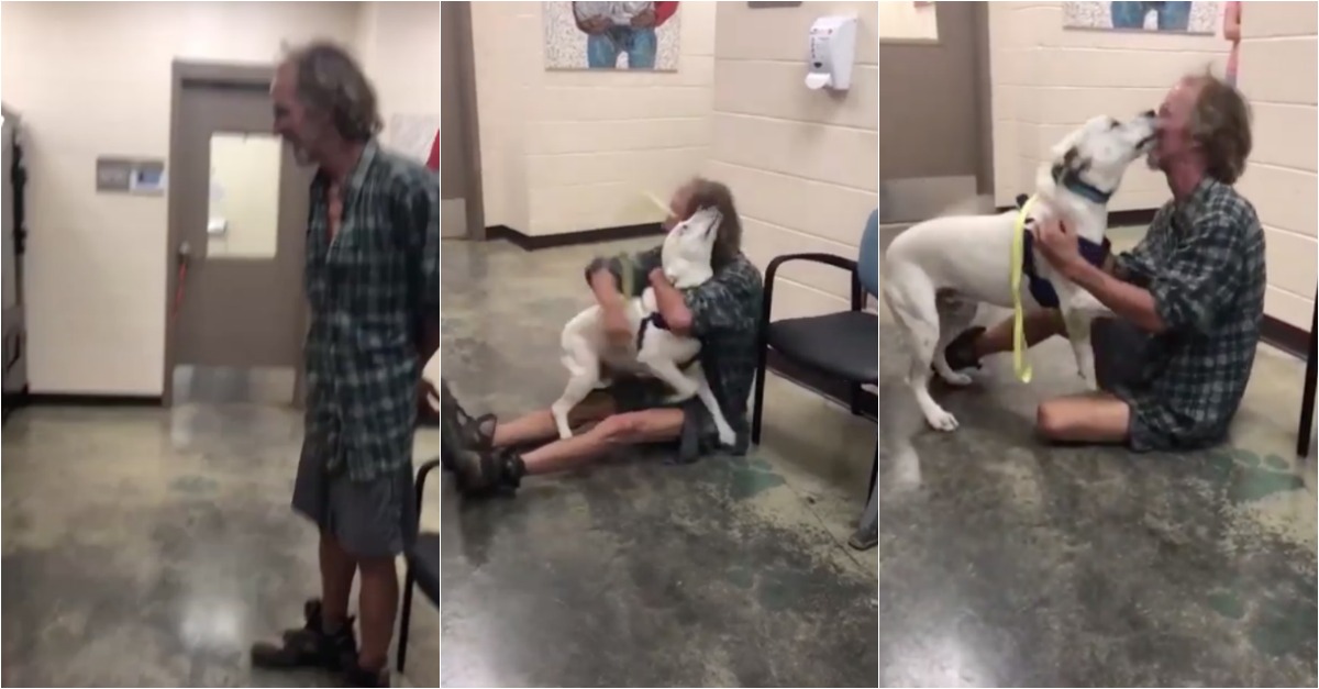 O reencontro de um sem-abrigo com o seu cão que estava perdido