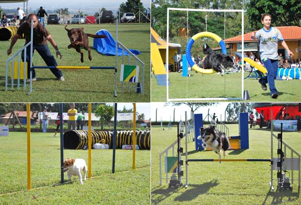 Prova de perícia de cães termina em tragédia