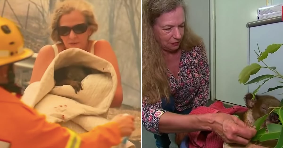 Mulher reencontra coala que salvou dos incêndios