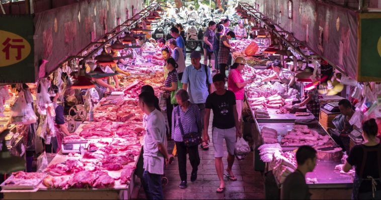 China finalmente decide que cães não são comida